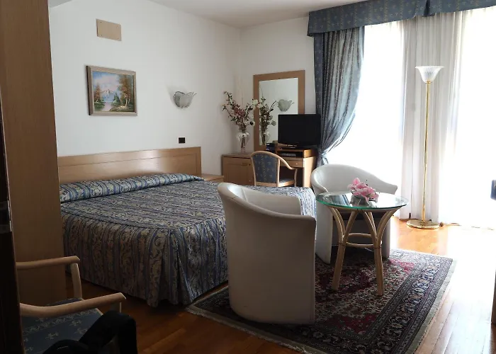Hotel Spresiano 4*